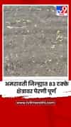 अमरावती जिल्ह्यात 83 टक्के क्षेत्रावर पेरणी पूर्ण