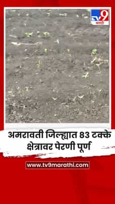 अमरावती जिल्ह्यात 83 टक्के क्षेत्रावर पेरणी पूर्ण-1711985