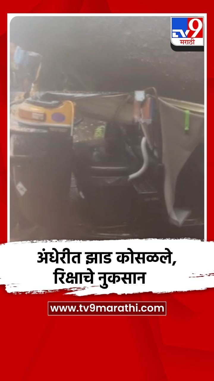 अंधेरीत झाड कोसळले,रिक्षाचे नुकसान-1703034