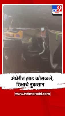 अंधेरीत झाड कोसळले,रिक्षाचे नुकसान-1703034