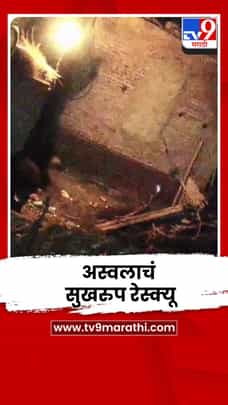 तारापूर गावात वावरणाऱ्या अस्वलाचं सुखरुप रेस्क्यू-1711879