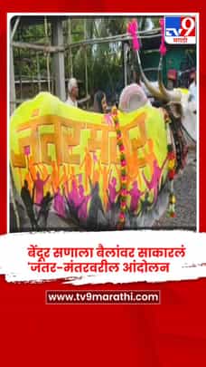 सातारा : तडवळेत अनोखा बेंदूर; बैलांवर साकारलं 'जंतर-मंतरवरील आंदोलन'-1720505