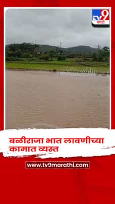 भोर, बळीराजा शेतात चिखलणी करून भात लावणीच्या कामात व्यस्त-1720508