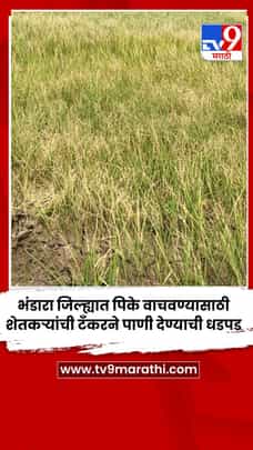 भंडारा जिल्ह्यात पिके वाचवण्यासाठी शेतकऱ्यांची टँकरने पाणी देण्याची धडपड-1712703
