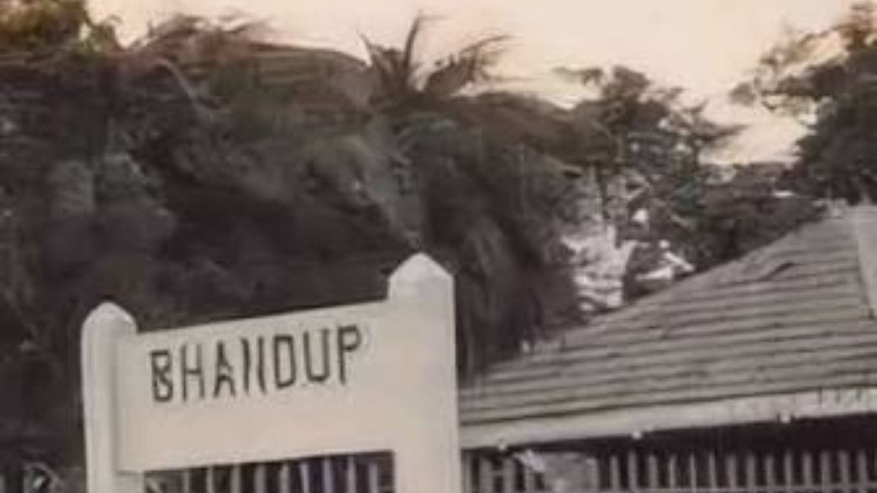 त्यानंतर मॉरिशसला स्वस्त रम तयार होऊ लागली. त्यानंतर भांडुप येथील रमचा कारखाना १८५७ ला बंद करावा लागला. पुन्हा तो सुरु करण्याचा प्रयत्न झाला परंतू त्याला यश आले नाही. बॉम्बे गॅझेटच्या बातमील लूक  अशबर्नर नावाच्या रमच्या इतिहासाची नोंद उपलब्ध आहे. 