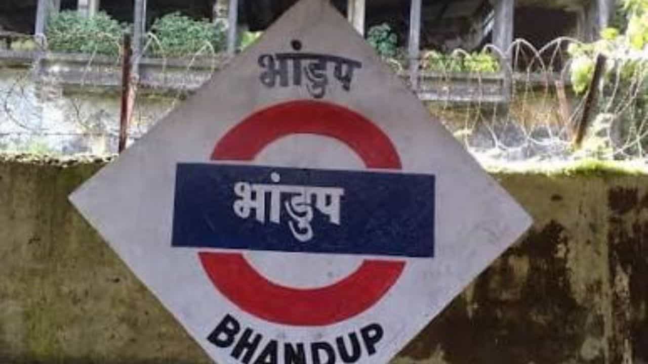 मुंबईच्या बोरीबंदर ते ठाणे या १८५३ साली बांधलेल्या पहिल्या रेल्वे मार्गावरती बोरीबंदर या स्थानकानंतर थेट भायखळा स्थानक होते. त्यानंतर दादर, कुर्ला मुलुंड असे कोणतेही स्थानक त्यावेळी बांधलेले नव्हते मात्र, भांडुप स्थानक बांधलेले होते.
