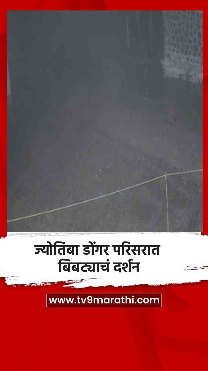 ज्योतिबा डोंगर परिसरात बिबट्याचं दर्शन-1713466