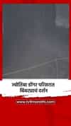 ज्योतिबा डोंगर परिसरात बिबट्याचं दर्शन