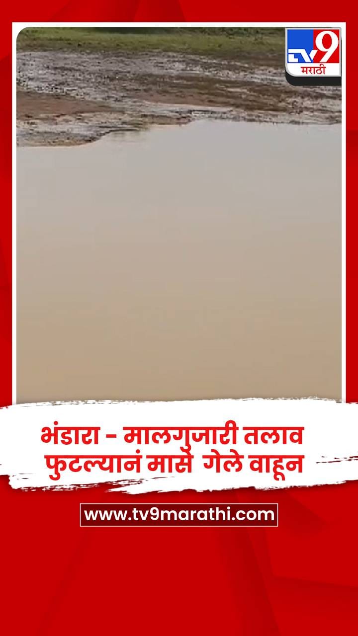 भंडारा - मालगुजारी तलाव फुटल्यानं मासे  गेले वाहून-1722159