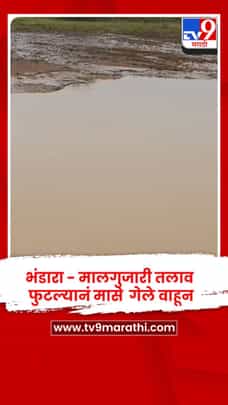 भंडारा - मालगुजारी तलाव फुटल्यानं मासे  गेले वाहून-1722159