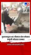 तुळजापूरत भर चौकात दोन मोकाट वळूंची जोरदार टक्कर