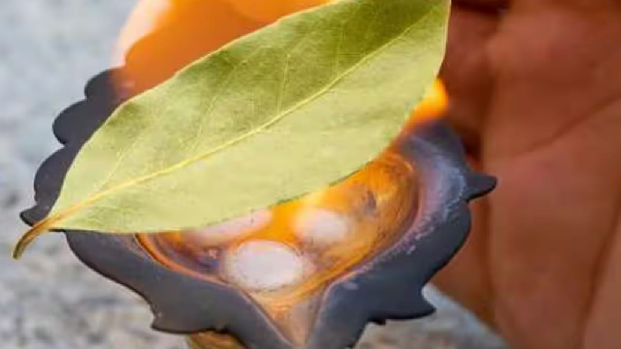 सायंकाळच्या वेळी 2 ते 3 कापूराच्या वड्या आणि एक-दोन तेजपत्ते एकत्र जाळून त्याचा धूर संपूर्ण घरात फिरवावा. वास्तुशास्त्रानुसार हा वेळ नकारात्मक ऊर्जा दूर करण्यासाठी योग्य मानला जातो. टीप : वरील माहिती ही वास्तुशास्त्रातील पारंपरिक श्रद्धा आणि मान्यतांवर आधारित आहे. याबाबत वैज्ञानिक पुरावे उपलब्ध नाहीत. त्यामुळे याकडे धार्मिक किंवा सांस्कृतिक श्रद्धेच्या दृष्टीने पाहावे.