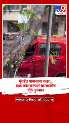 मुंबईत पावासाचा कहर... झाड कोसळल्याने चारचाकीचं मोठं नुकसान-1705481