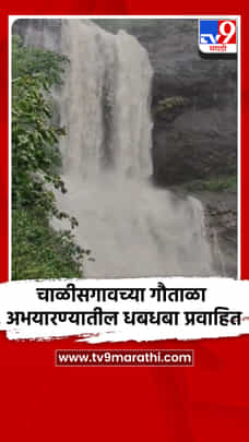 चाळीसगावच्या गौताळा अभयारण्यातील धबधबा प्रवाहित-1707781