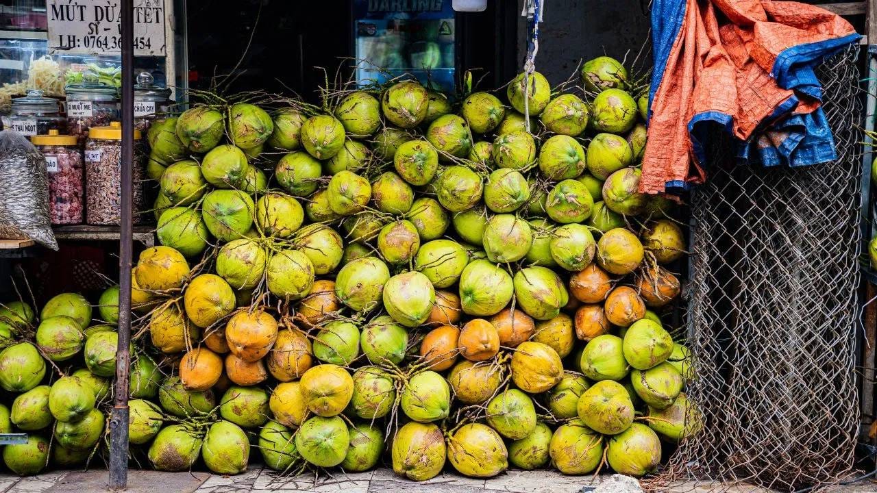 त्यामुळे, नारळातील पाणी बाहेरून भरलं जात नाही, तर फळाच्या वाढीदरम्यान ते नैसर्गिकरित्या तयार होतं.