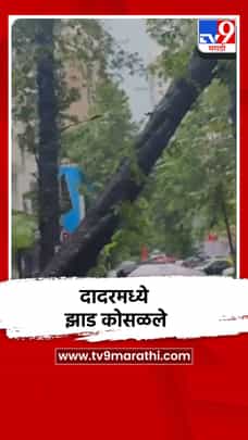 मुंबईत तुफान पाऊस, दादरमध्ये कोसळले झाड-1705192