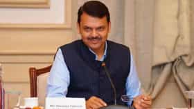 2029 आधी देवेंद्र फडणवीस पंतप्रधान होणार? बड्या नेत्याच्या शुभेच्छा.
