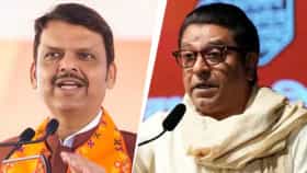 'ते जर स्टँडअप कॉमेडीयन...', फडणवीस यांची राज ठाकरे यांच्यावर टीका.