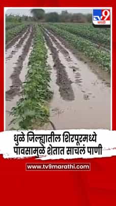 धुळे जिल्ह्यात पावसाचे आगमन: पेरण्यांना गती, शिरपूरमध्ये पाणी साचले-1702463
