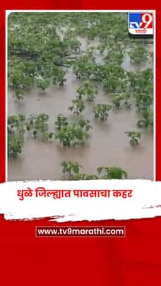 धुळे जिल्ह्यात पावसाचा कहर: खरीप पिकांचे मोठे नुकसान, शेतकऱ्यांना मदतीची अपेक्षा-1723561