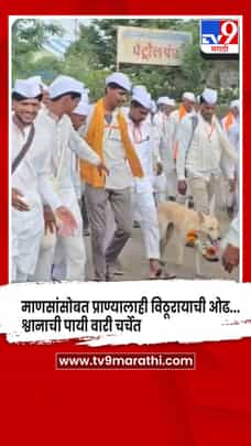 माणसांसोबत प्राण्यालाही विठूरायाची ओढ, श्वानाची पायी वारी चर्चेत-1708990