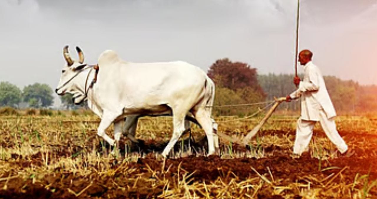 'एल निनो'ने टेन्शन वाढलं, पावसाअभावी खरीप पिके संकटात; उर्वरित महाराष्ट्रात पाऊस कधी? महत्त्वाची अपडेट समोर 'एल निनो'ने टेन्शन वाढलं, पावसाअभावी खरीप पिके संकटात; उर्वरित महाराष्ट्रात पाऊस कधी? महत्त्वाची अपडेट समोर