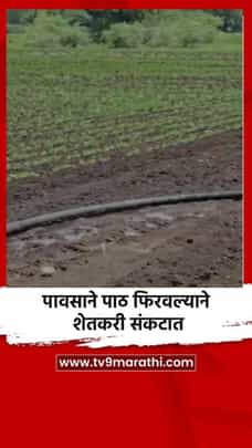 पावसाने पाठ फिरवल्याने शेतकरी संकटात-1710559