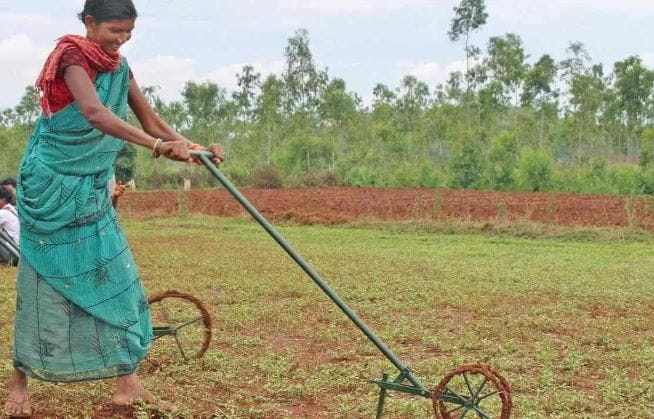 आजकाल लाल, पिवळी शिमला मिरचीचे उत्पादन मोठ्या प्रमाणात घेतले जात आहे. शहरातील हॉटेल, भाजी मंडईमध्ये शिमला मिरचीला खूप मागणी असते. शेतकरी ड्रॅगन फ्रुटचीही शेती करू शकतात. 