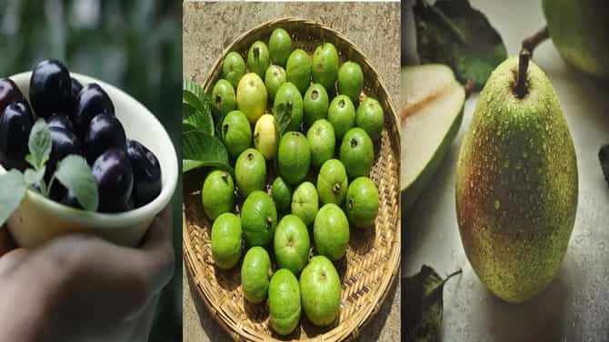 पावसाळ्यात ही फळं नक्की खा... पचनक्रिया राहील निरोगी