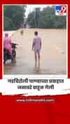 गडचिरोली पाण्याच्या प्रवाहात जनावरे वाहून गेली