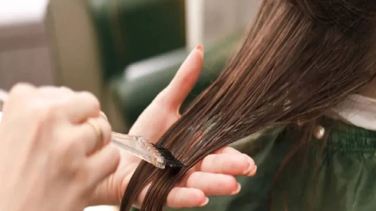 पांढऱ्या केसांमुळे त्रस्त आहात का? आंब्याच्या कोयीपासून बनवा हा सोपा नैसर्गिक हेअर मास्क पांढऱ्या केसांमुळे त्रस्त आहात का? आंब्याच्या कोयीपासून बनवा हा सोपा नैसर्गिक हेअर मास्क