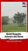 हिंगोली जिल्ह्यातील शेतकऱ्यांना मोठा दिलासा