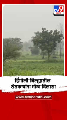 हिंगोली जिल्ह्यातील शेतकऱ्यांना मोठा दिलासा-1722828