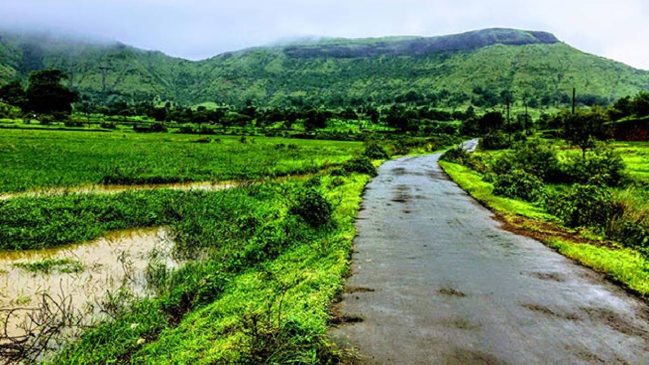 पावसाळ्यात इगतपुरीला अनेकजण फिरायला जातात. मात्र इगतपुरीतील मुसळधार पावसाच्या पार्श्वभूमीवर प्रशासनाने मोठा निर्णय घेतला आहे. पिंपरी पाटा परिसरापासून सर्व प्रमुख पर्यटनस्थळांच्या मार्गांवर पोलिसांची कडक नाकाबंदी आहे. पुढील आदेशापर्यंत कोणत्याही पर्यटकाला पर्यटनस्थळी प्रवेश नाही. धबधबे, धरणे, किल्ले आणि इतर पर्यटनस्थळे पुढील 48 तासांसाठी बंद करण्यात आली आहेत. सर्व ठिकाणी पोलिसांचा कडेकोट बंदोबस्त तैनात करण्यात आला आहे. छुप्या मार्गाने पर्यटनस्थळी जाणाऱ्यांवरही कठोर कारवाईचा इशारा देण्यात आला आहे.
