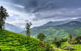 मान्सूनच्या चाहत्यांनो पाऊस थांबलाय तसे हे पिकनिक स्पॉट पाहून या....