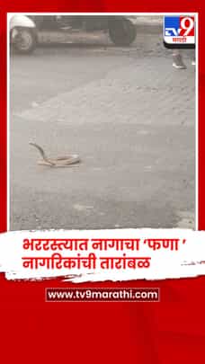 भररस्त्यात नागाचा ‘फणा ’, कल्याणच्या आधारवाडी चौकात नागाचा ठिय्या, नागरिकांची तारांबळ-1712528