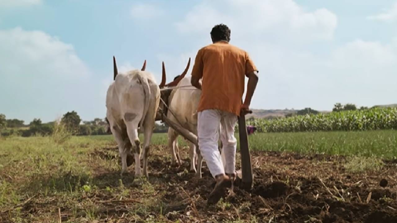 दिग्दर्शक नागराज मंजुळे हे त्यांच्या चित्रपटांच्या माध्यमातून नेहमीच नव्या चेहऱ्यांना संधी देत आले आहेत. 'सैराट'मध्ये परश्याची भूमिका साकारून अभिनेता आकाश ठोसर लोकप्रिय झाला, तर 'फँड्री'मधील जब्या साकारणारा सोमनाथ अवघडेसुद्धा घराघरात पोहोचला. आता 'खाशाबा' या चित्रपटासाठीही त्यांनी नवीन चेहरा निवडला आहे.