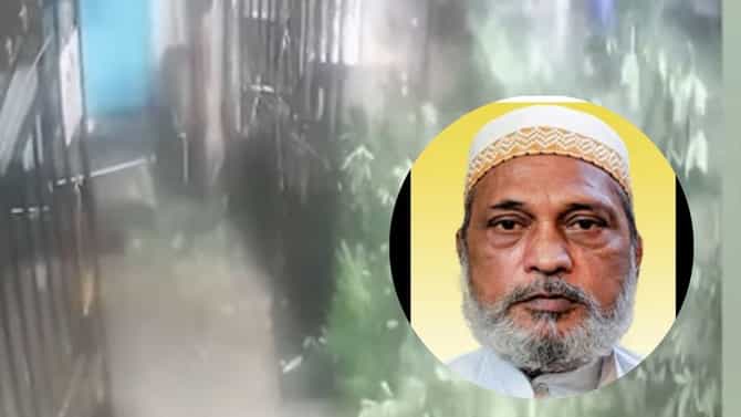 मुंबईतील मुसळधार पावसाचा तिसरा बळी; चेंबूरनंतर कुर्ल्यात झाड कोसळून एकाचा मृत्यू