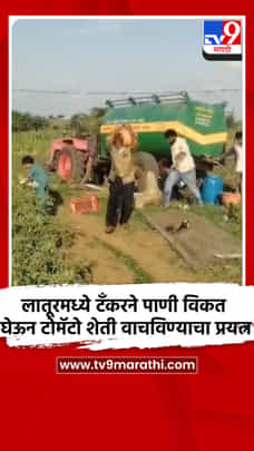 लातूरमध्ये टँकरने पाणी विकत घेऊन टोमॅटो शेती वाचविण्याचा प्रयत्न-1715631