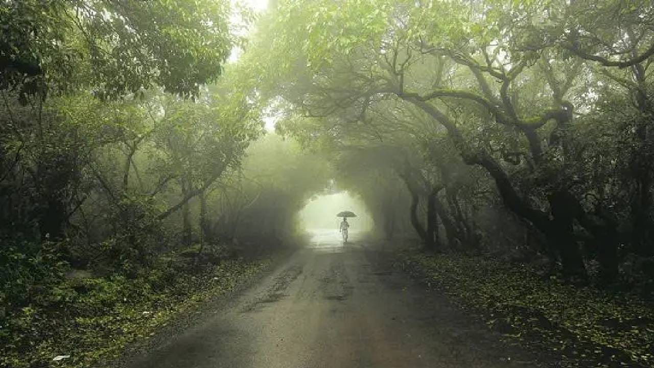 सातारा जिल्ह्यातील सर्व पर्यटन स्थळांवर पर्यटकांना बंदी घालण्यात आली आहे. महाबळेश्वर, पाचगणीसह साताऱ्यातील अनेक ठिकाणं पुढचे आदेश मिळेपर्यंत बंद असतील. धोकादायक ठिकाणं, धबधबे, तलाव आणि नदीकाळच्या भागांमध्ये नागरिकांच्या प्रवेशावर निर्बंध घालण्यात आले आहेत. महाबळेशवर, पाचगणी, ठोसेघर, भांबवली-वजराई, कोयनेतील धबधबा, कास पठार, सज्जनगड याठिकाणी बंदी घातली आहे.