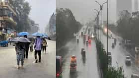 कामाशिवाय घराबाहेर पडू नका रे... अलर्ट आला; हेल्पलाईन नंबरही जारी.