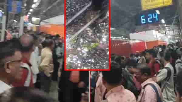 Mumbai Local : ना पाणी साचलं ना वायर तुटली.. माकडामुळे खोळंबली मुंबईची लाईफलाइन, ट्रॅकवर चक्क मर्कटाची एंट्री !