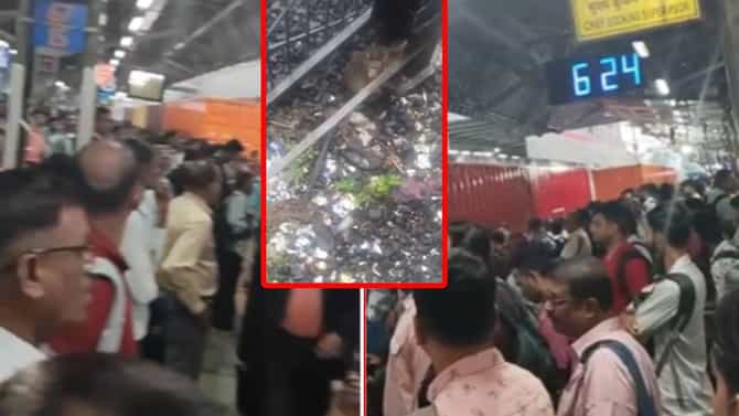 Mumbai Local : ना पाणी साचलं ना वायर तुटली.. माकडामुळे खोळंबली मुंबईची लाईफलाइन, ट्रॅकवर चक्क मर्कटाची एंट्री !