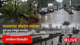 पावसाचा जोरदार तडाखा, कुठे झाडं उन्मळून पडतायेत.