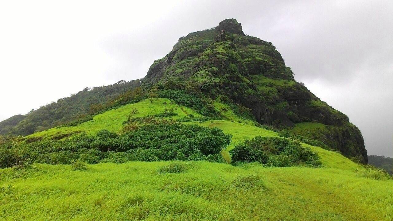 विरारमधील कुंभारपाडा तलाव, फुलपाडा डॅम, तुंगारेश्वर धबधबा, जेट्टी परिसर, तानसा नदी, पेल्हार धरण, अर्नाळा, राजोडी, कळंब, नवापूर या ठिकाणीही पर्यटकांना जाण्यास मज्जाव करण्यात आला आहे.