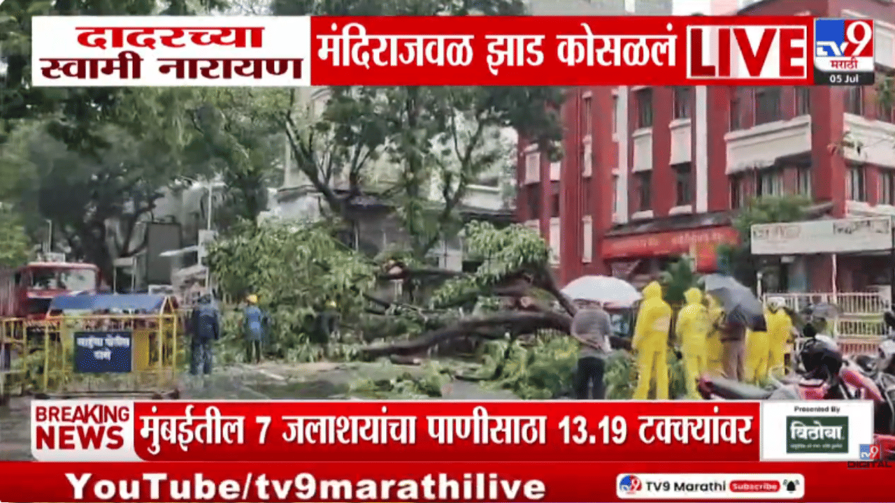 Mumbai | पावसात झाडांची दहशत! वादळी वाऱ्यासह होणऱ्या पावासामुळे सतत पडझड