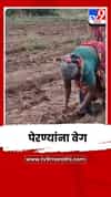 नंदुरबार जिल्ह्यात पेरणीयोग्य पाऊस; उर्वरित 1 लाख 7 हजार हेक्टरवर पेरण्यांना वेग