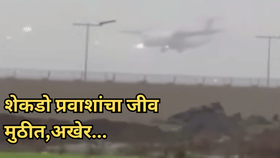 खाली धावपट्टी आहे की नाही? हेच समजेना! अखेर वैमानिकाने... अंगावर काटा-1706411