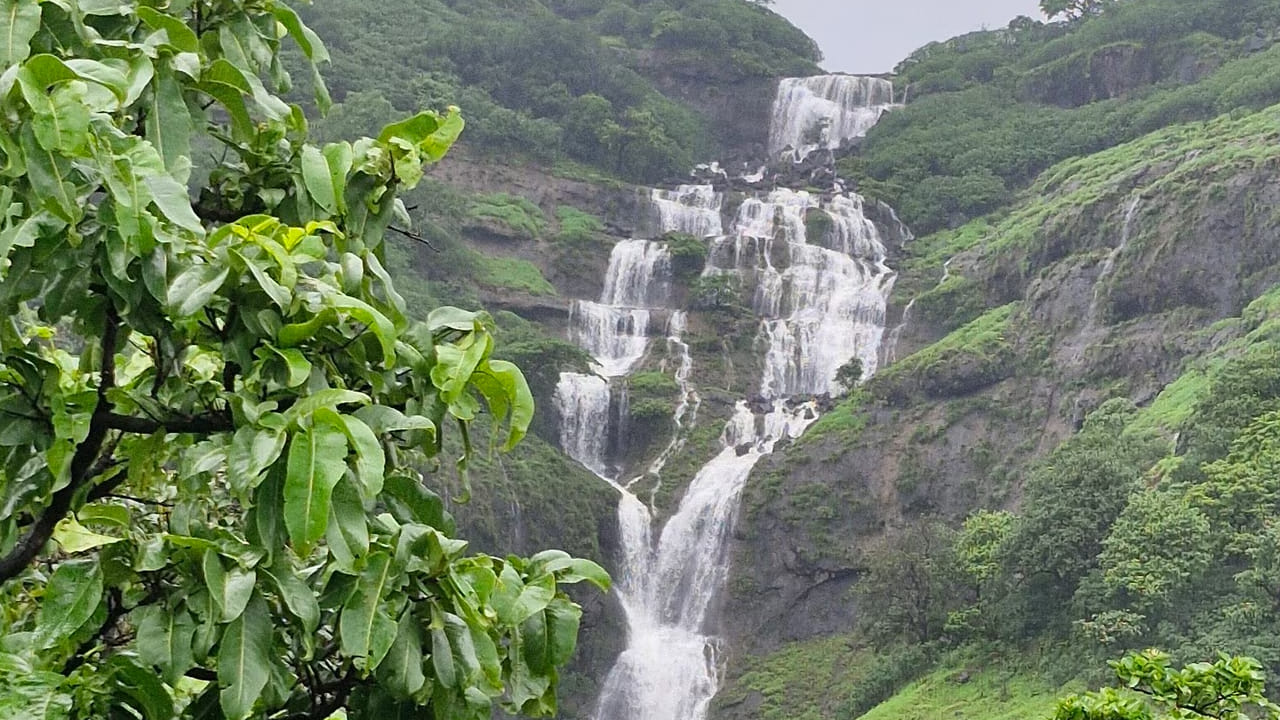 डोंगररांगांवर दाट धुके, हिरवाईची चादर आणि त्यातून कोसळणारा नेकलेस धबधबा यामुळे संपूर्ण परिसराचे सौंदर्य अधिक खुलून दिसत आहे. स्थानिकांच्या मते, पावसाळ्यात काही दिवसांसाठीच हा धबधबा पूर्ण क्षमतेने प्रवाहित होतो.