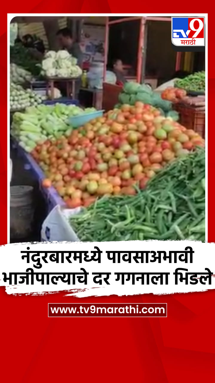 नंदुरबारमध्ये पावसाअभावी भाजीपाल्याचे दर गगनाला भिडले-1709934
